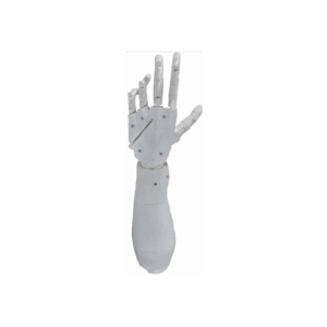 mano y antebrazo biónico humanoide robótico