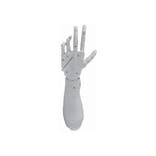 mano y antebrazo biónico humanoide robótico