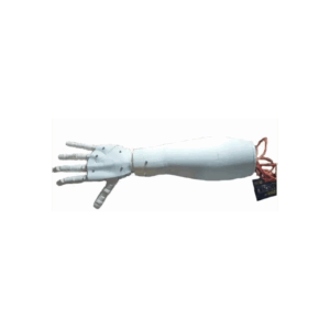 mano y antebrazo biónico humanoide robótico