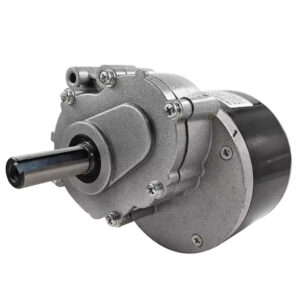 Motor 250W 24V CC 75rpm 44mm eje 17mm Diámetro MY1016Z (P/Silla de rueda)